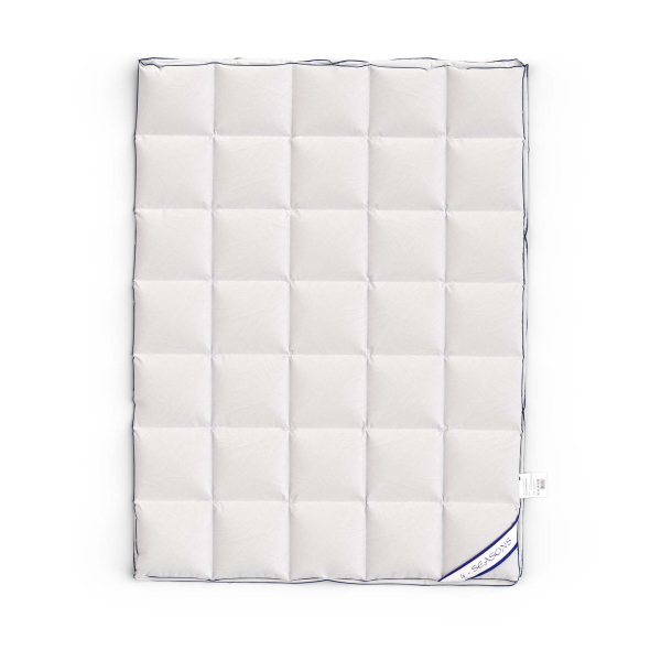 4-Jahreszeiten Entendaunen Duvet